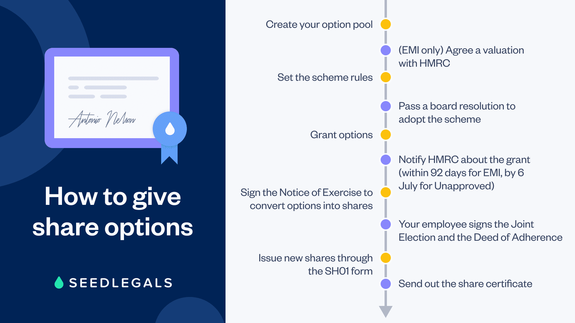 Timeline showing the steps to giving shares options in your startup
