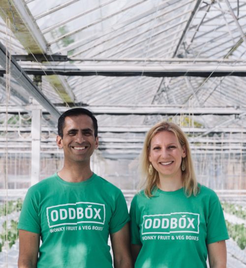 Oddbox Cover Photo