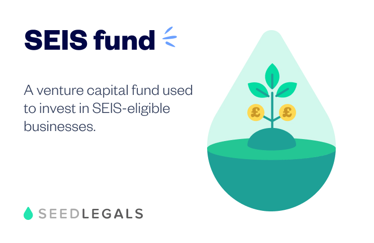 Seis Fund 1