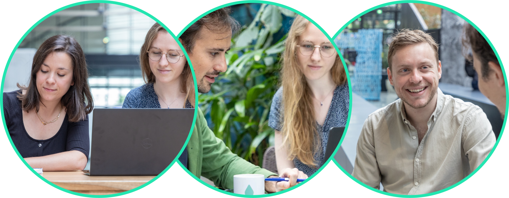 Expert team members