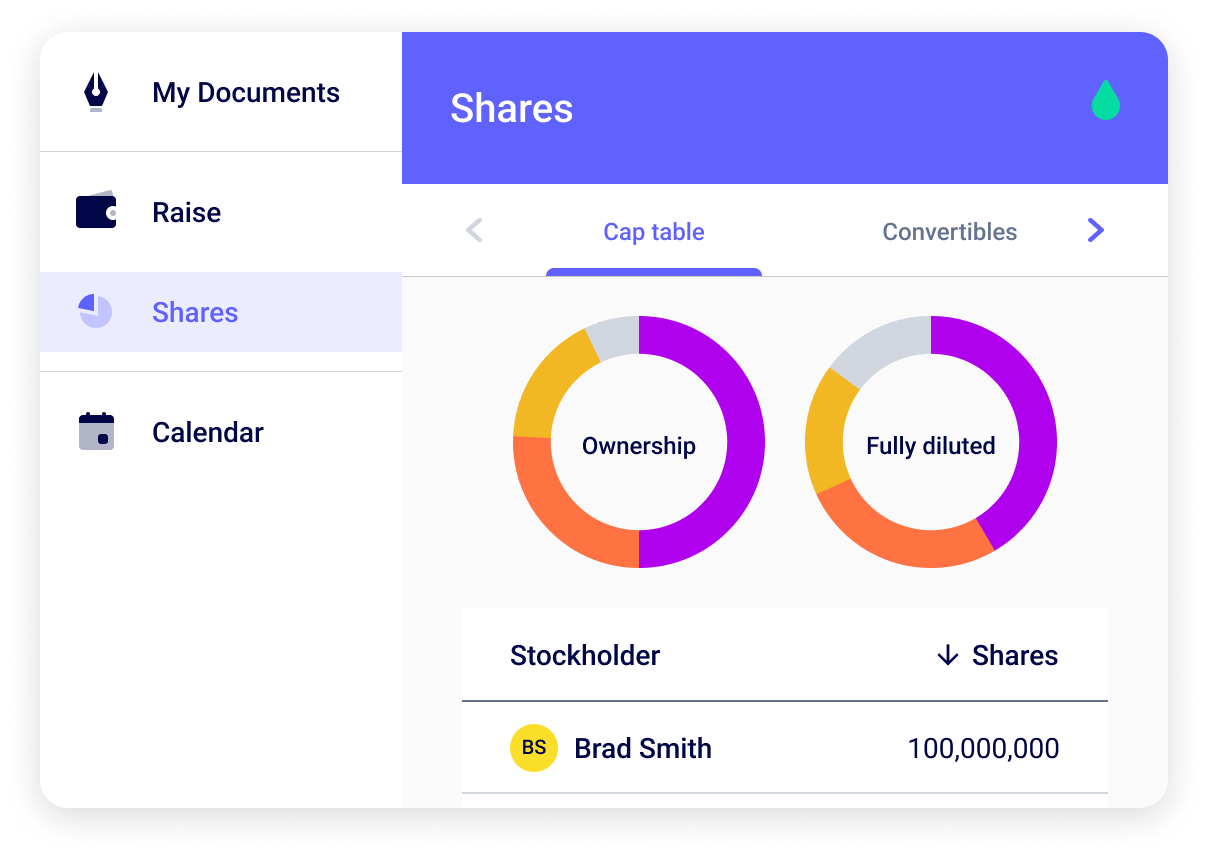 Usa Cap Table Home Page