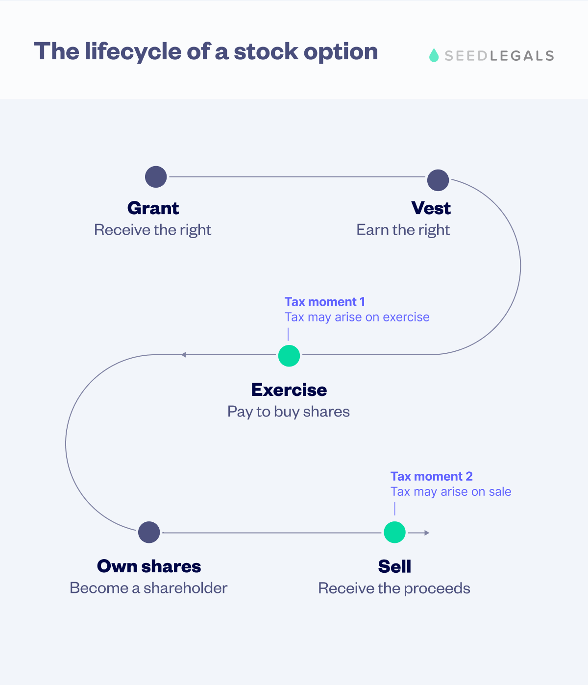 Life Cycle Stock Option